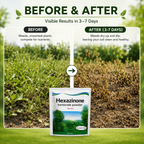 Hexazinone Herbicide Powder 200g Each Pack of 2
