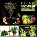 (Pack of 2) Soil Activated Treasure + Free Plant Booster – Organic Soil Conditioner & Root Growth Fertilizer for Potted Plants & Home Garden