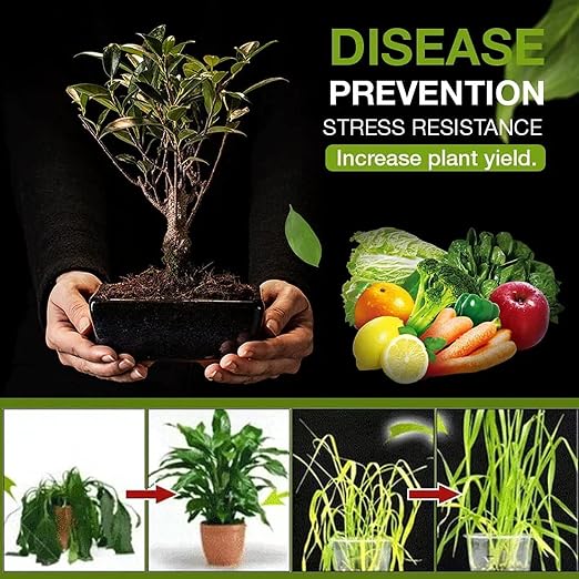 (Pack of 2) Soil Activated Treasure + Free Plant Booster – Organic Soil Conditioner & Root Growth Fertilizer for Potted Plants & Home Garden