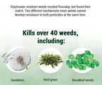 AI (Pack of 2) Dual-Action Weed Killer - Max Power Herbicide
