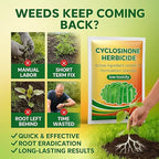 (Pack of 2) Cyclosinone Herbicide Weed Killer Granules